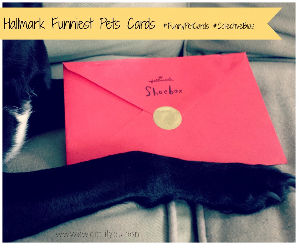 Hallmark Funniest Pet Cards #FunnyPetCards #CollectiveBias