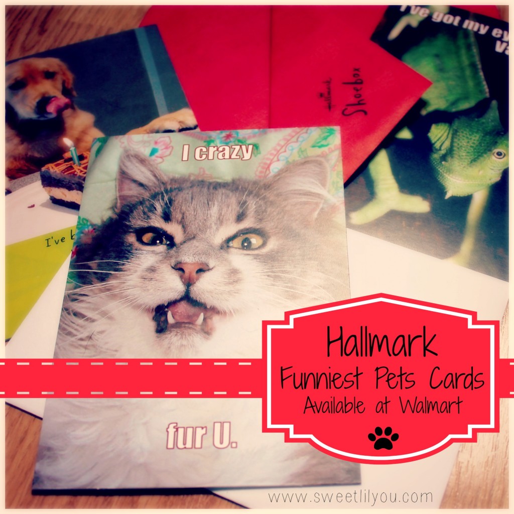 Hallmark Funniest Pets cards at Walmart!  #FunnyPetCards  #cbias