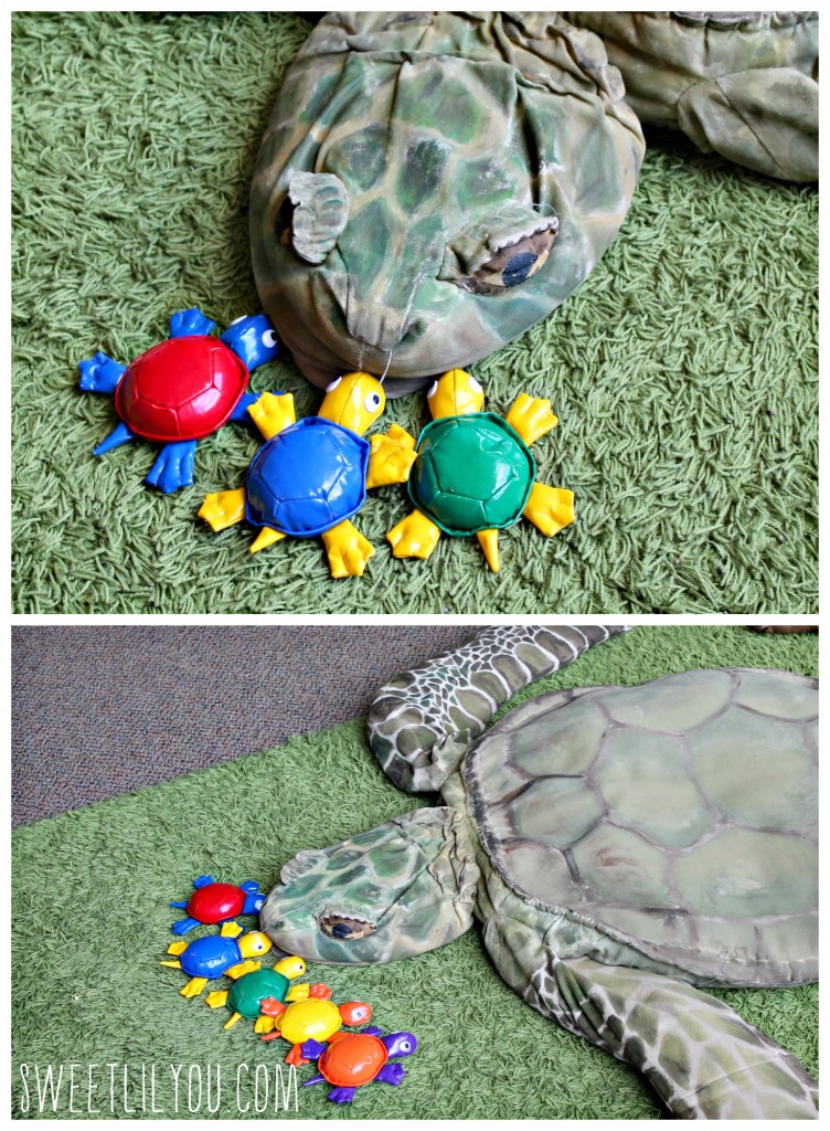 turtles