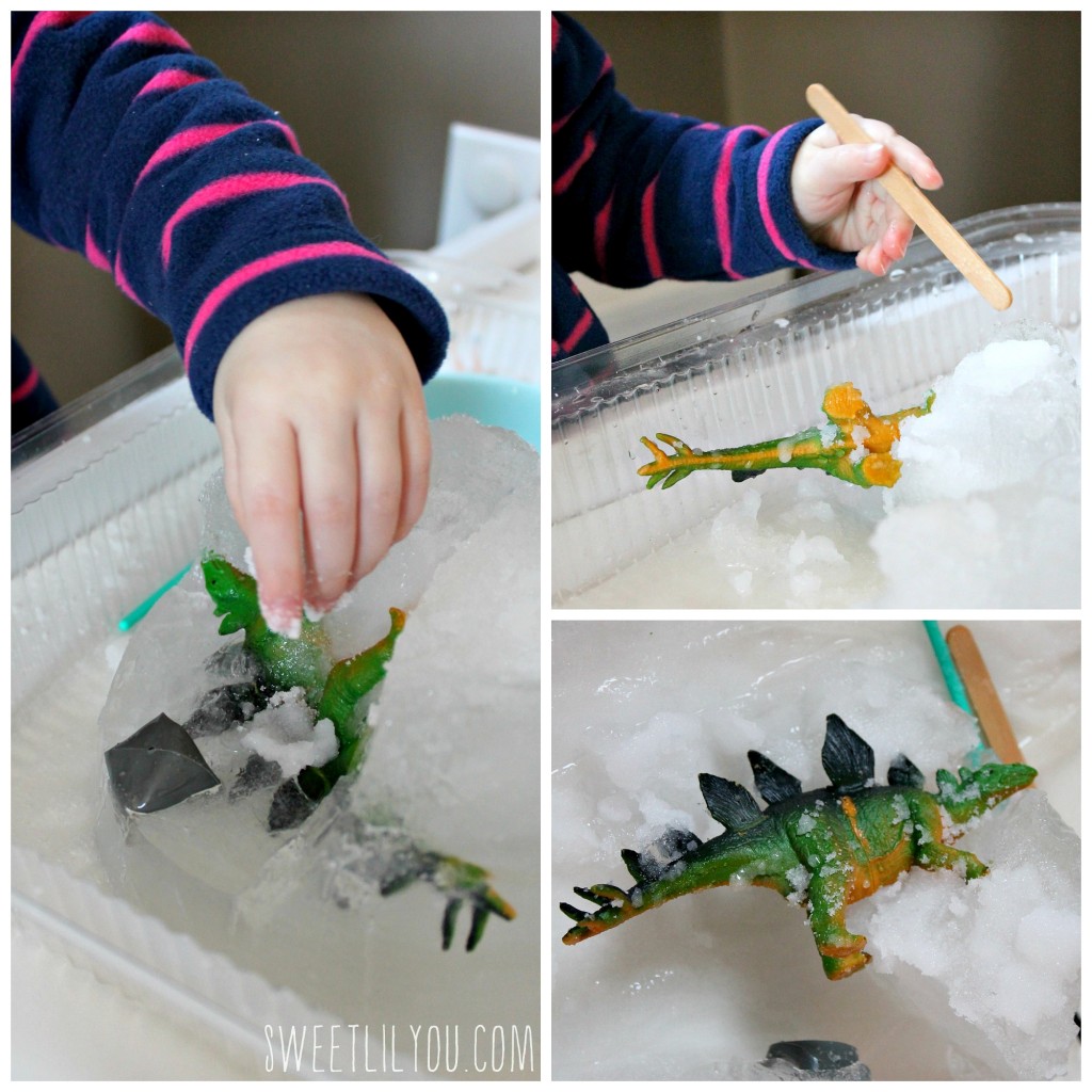 Digging out the dinosaur