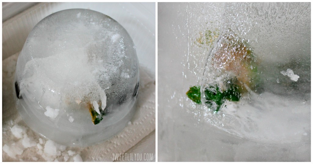 Dinosaur in ice activity