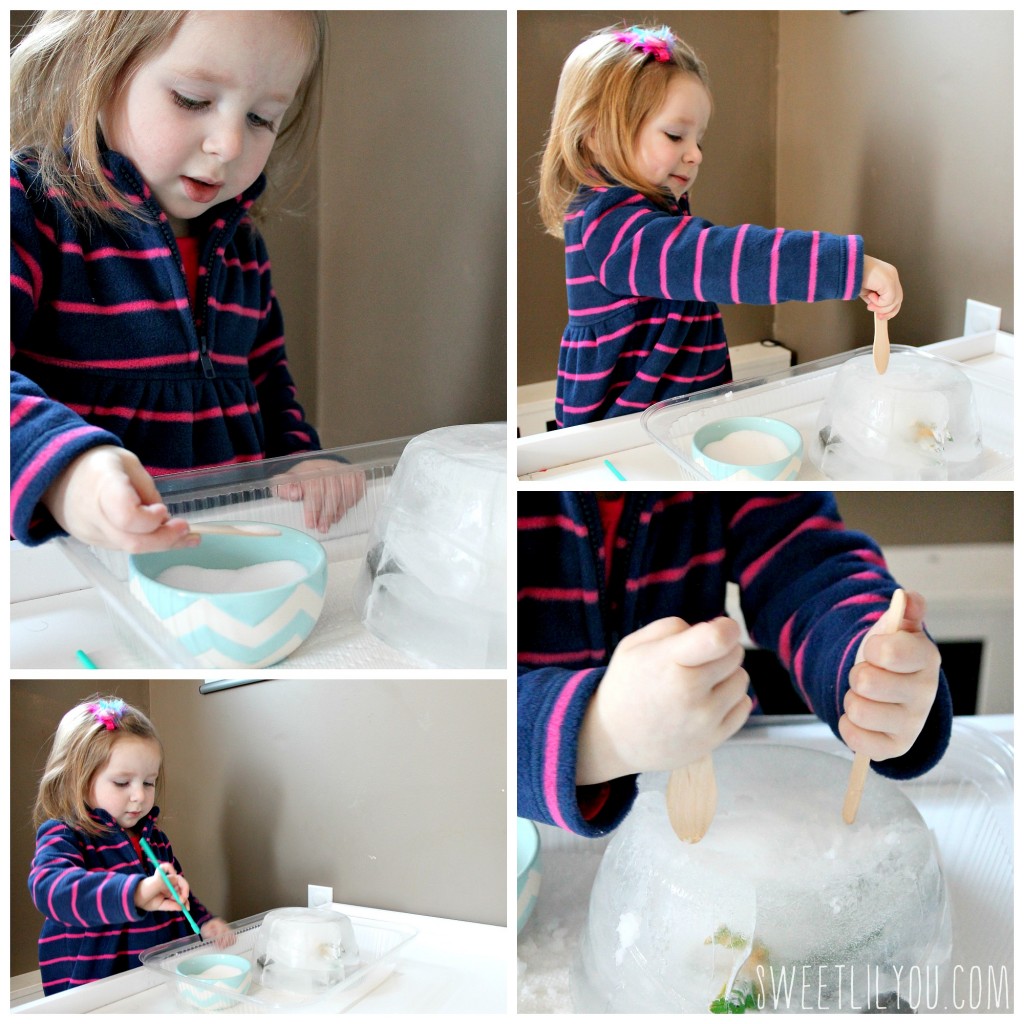 Toddler ice science