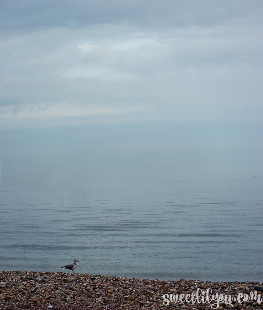 Fog on the sound