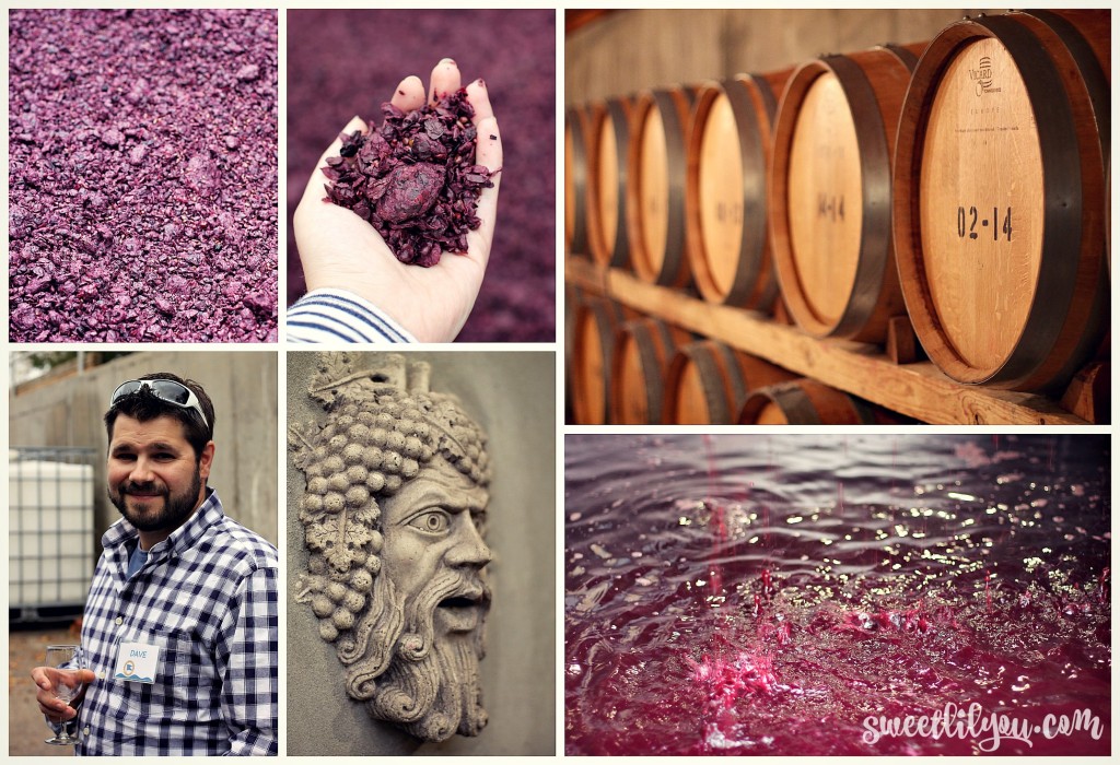 Photos from Pellegrini Vineyard