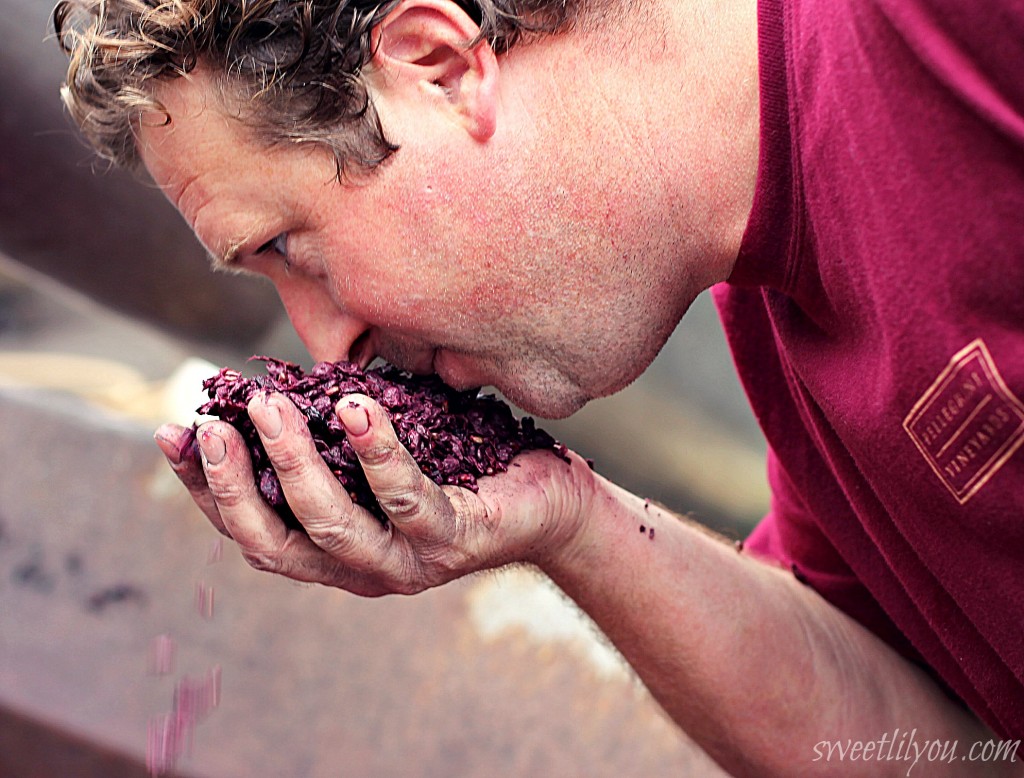 Zander Pelegrini Vineyards