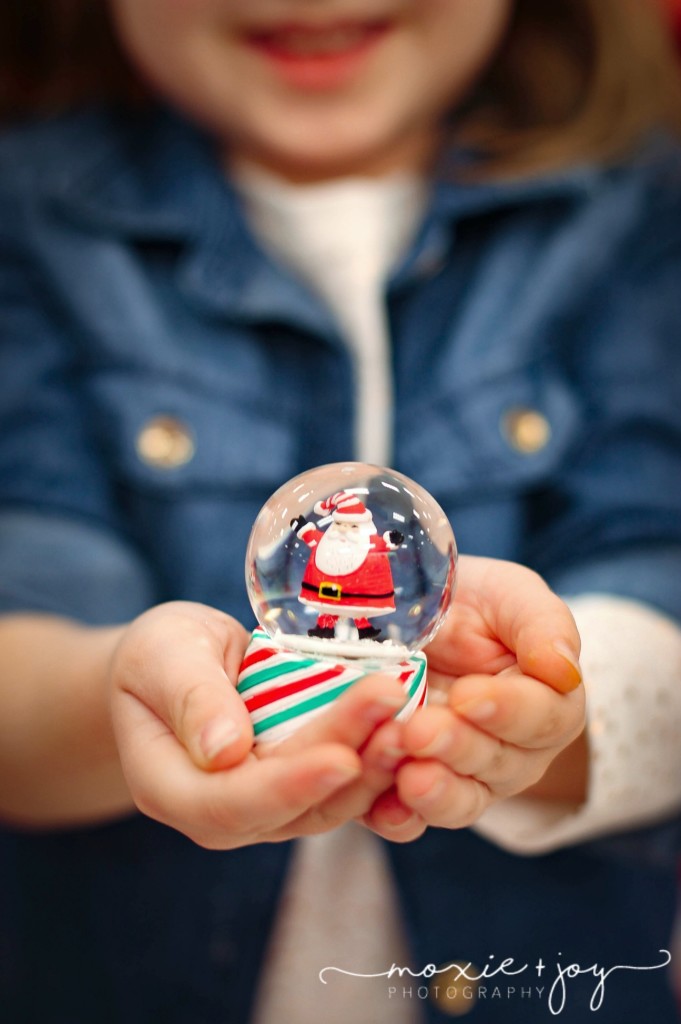 snow globe target
